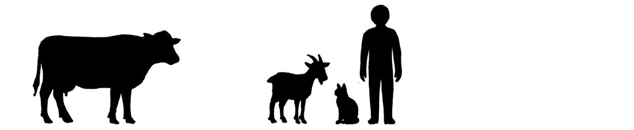 siluett: ko, get, katt och människa