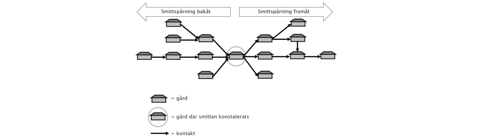 Schematisk bild av smittspårning bakåt och framåt