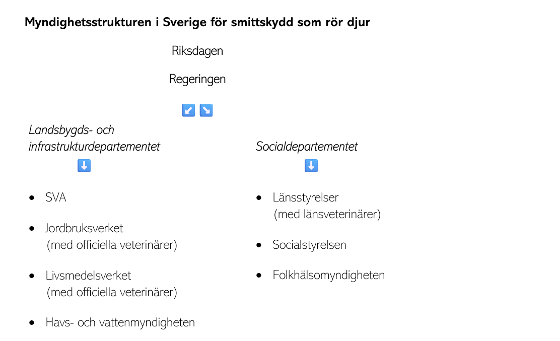 Schematisk beskrivning av myndighetsstrukturen som rör smittskydd